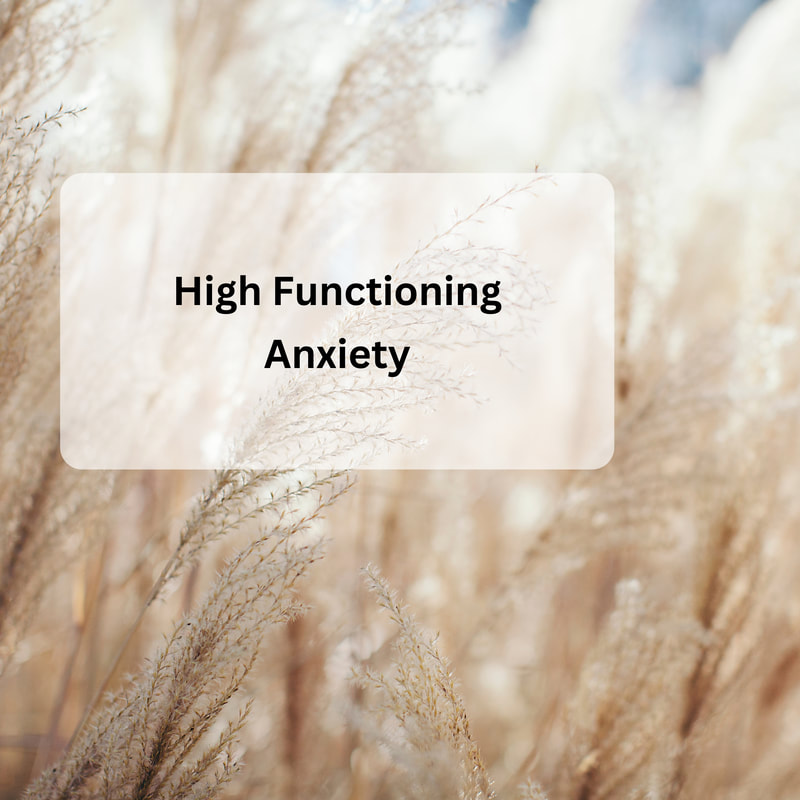 Calm nature picture with words high functioning anxiety